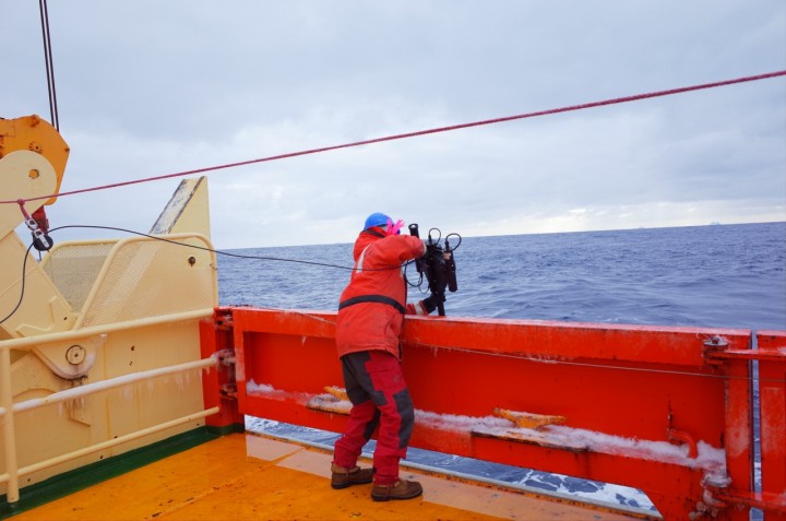 Dropping the radiometer into the water Photo credit: Isabella Rosso