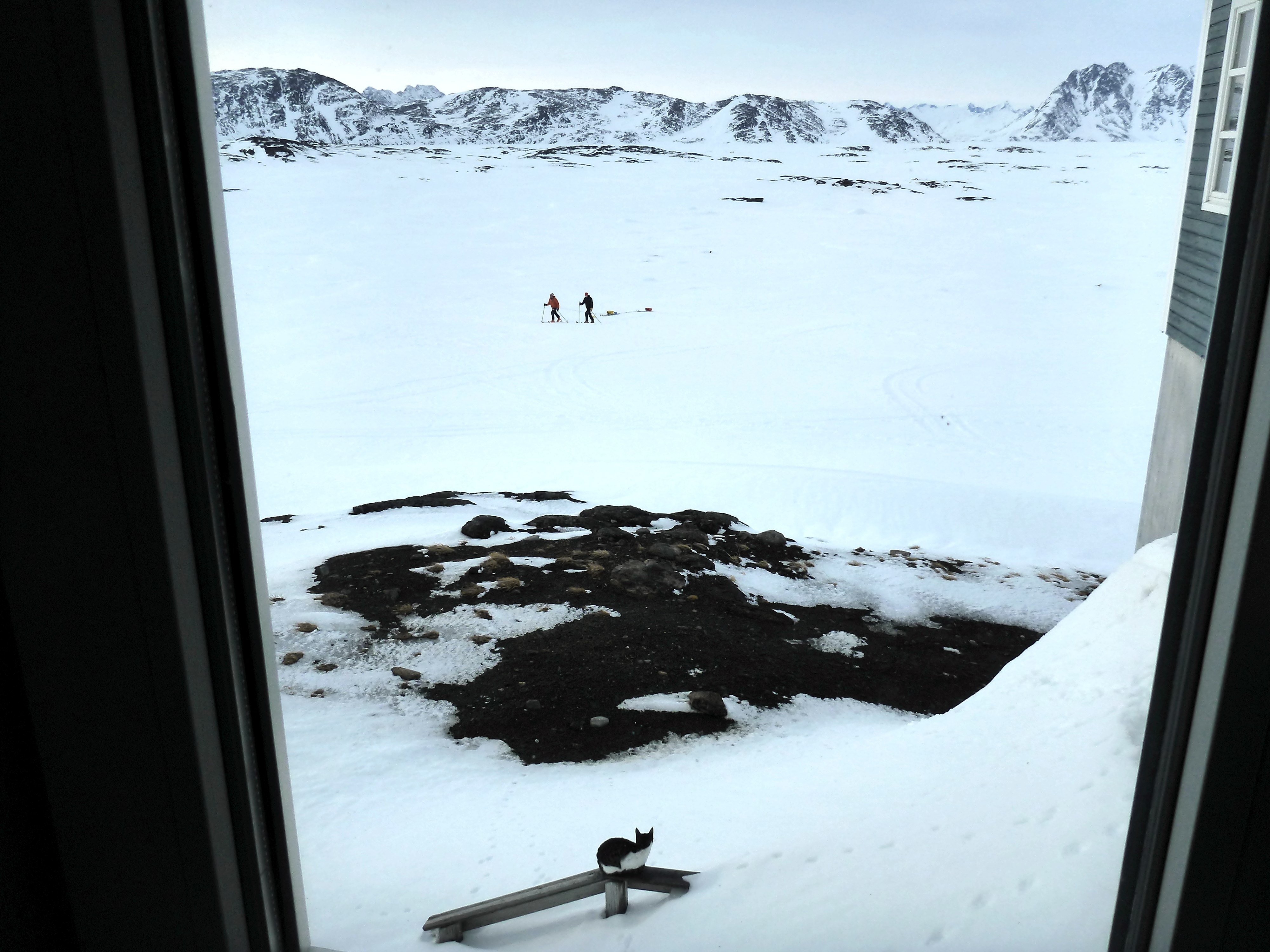 Rick watches Ludo and me maneuvering the IceRadar from the hotel. A new (feline) friend is also observing us, probably wondering what we are doing here! (Credit: Rick Foster.)