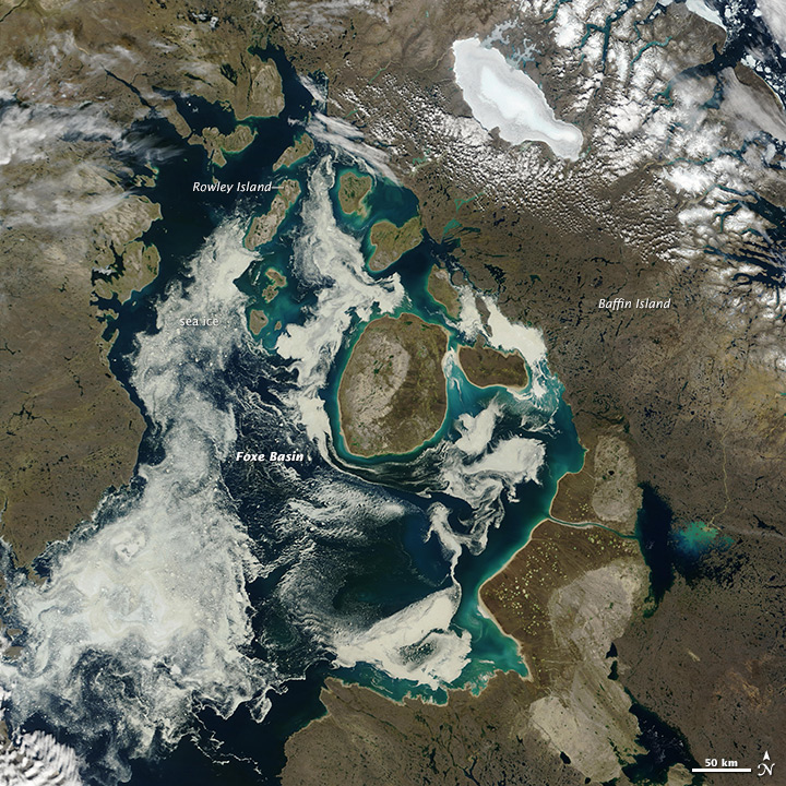 foxebasin_tmo_2002213