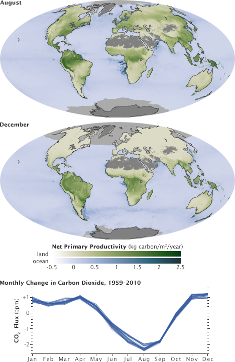 co2_flux_npp_august_december_2010