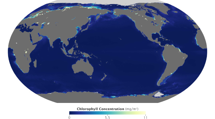 modis_chlorophyll_2002-2014_linear_robinson_720