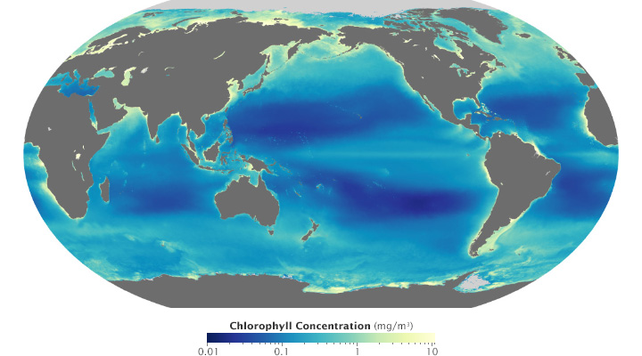 modis_chlorophyll_2002-2014_log10_robinson_720