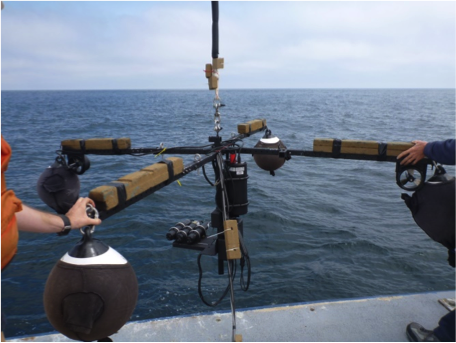 Our floating polarimeter. Photo courtesy of Alex Gilerson, City College of New York