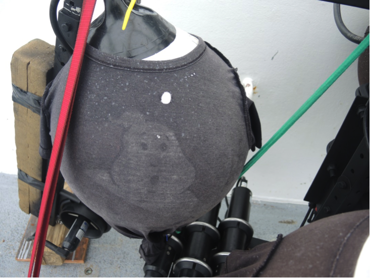 Our very special colleague. Photo courtesy of Chris Armanetti, R/V Endeavor