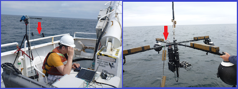 But seriously… Are you playing video games? Courtesy of Lynne Butler and Ivona Cetinic