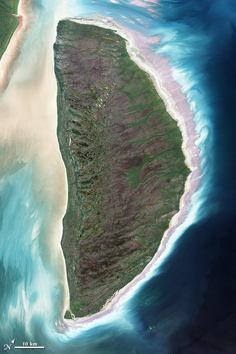 D_akimiski_l7_2000222