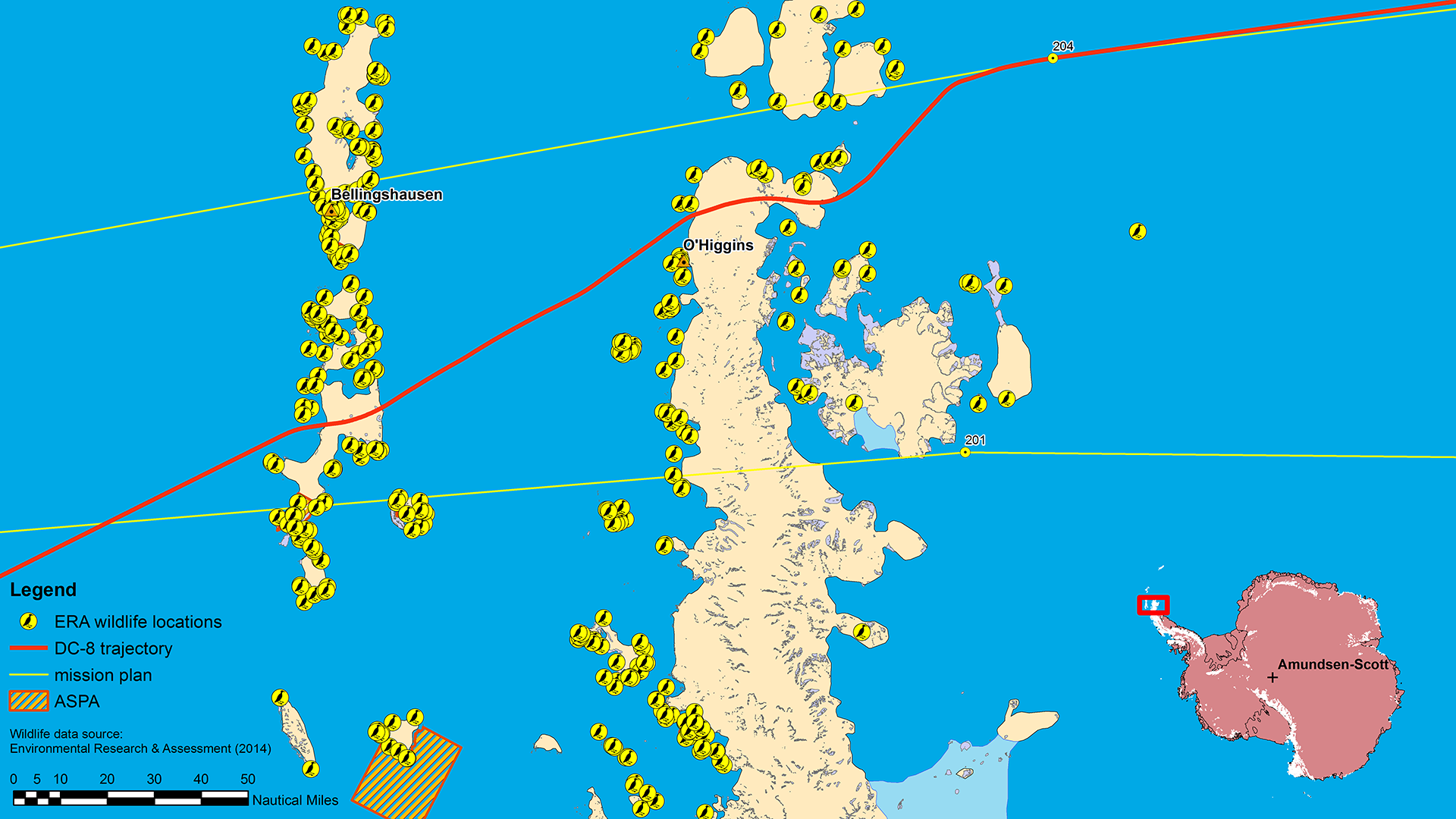 Flight path and penguins