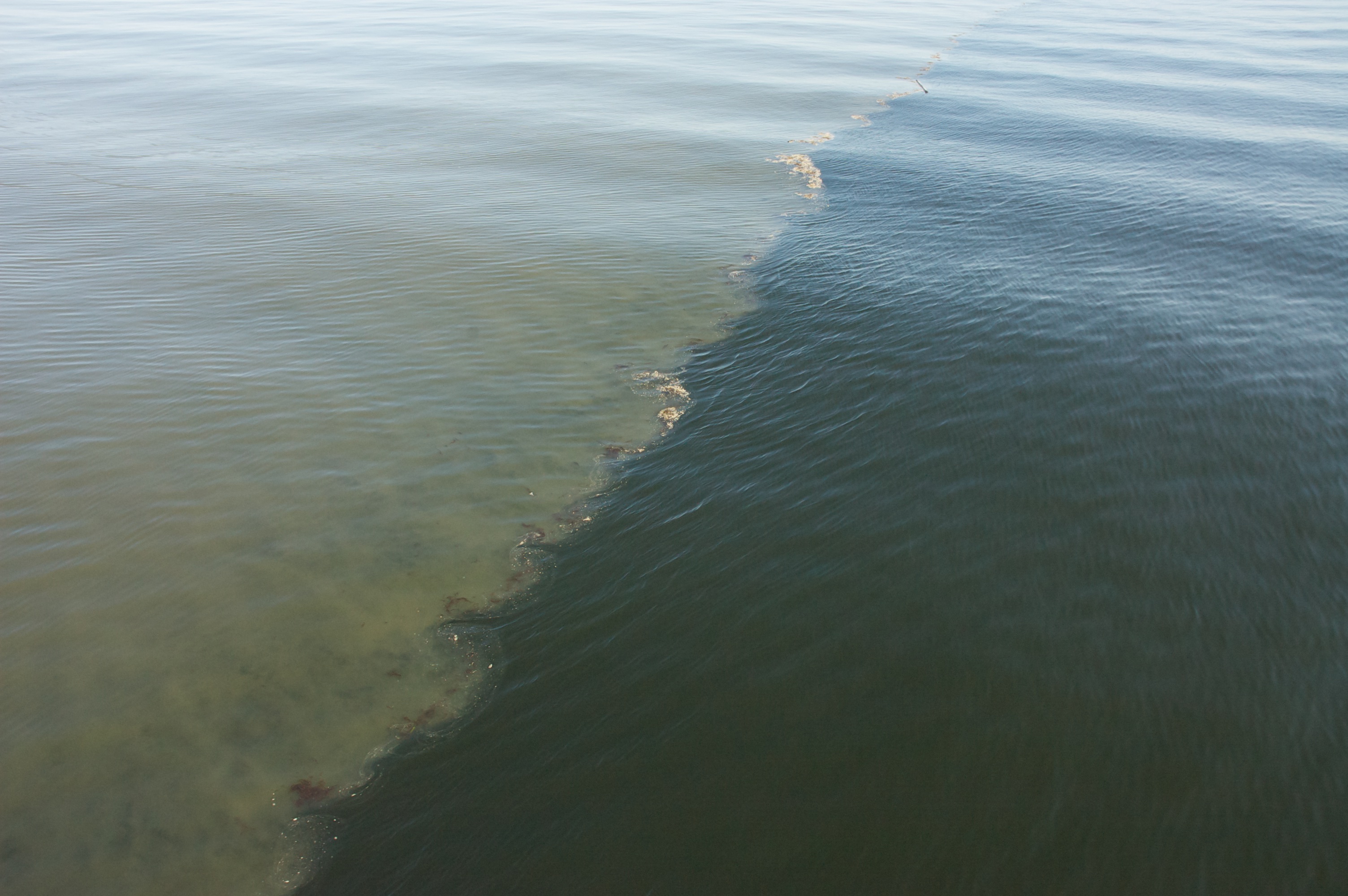 front between Fraser River water and Straight of Georgia water