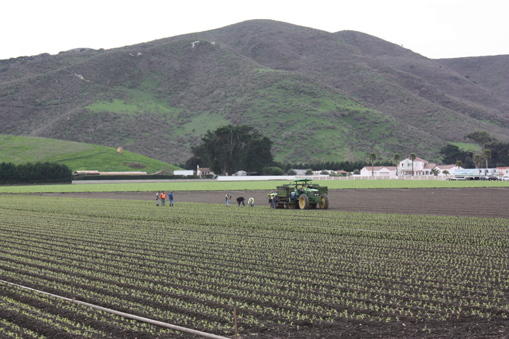 Credit: NASA/Kathryn Hansen