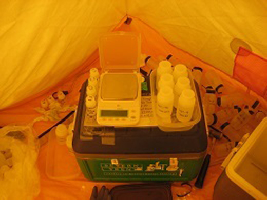 Water samples from the Greenland aquifer.