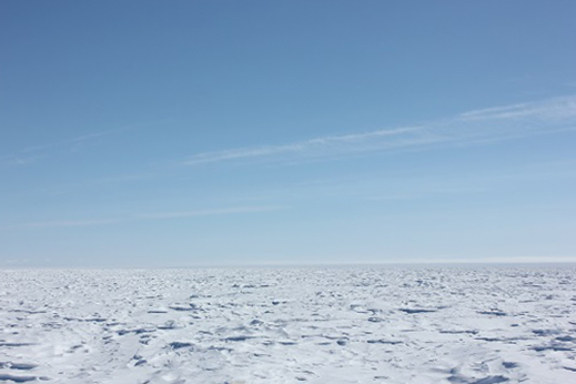Sestrugies along the expanse of the ice sheet.