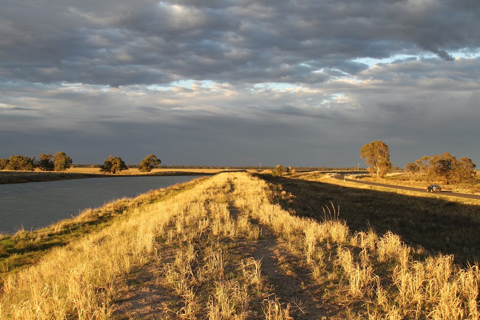 regional sampling day