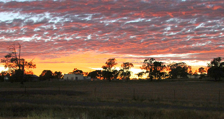 Early mornings. Photo by Amy McNally.