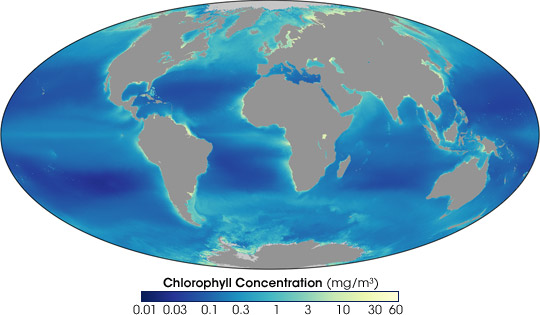 chlorophyll_sea_97-07