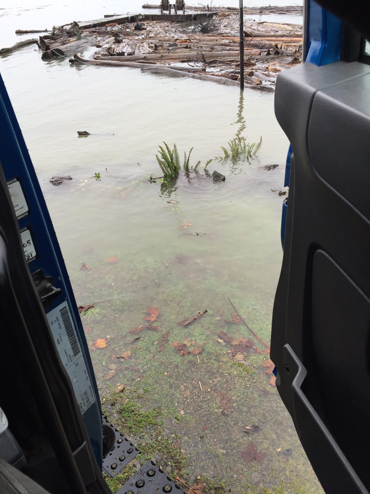Lake Quinault knocks on the DOW door. (Photo credit: Megan Chaplin)