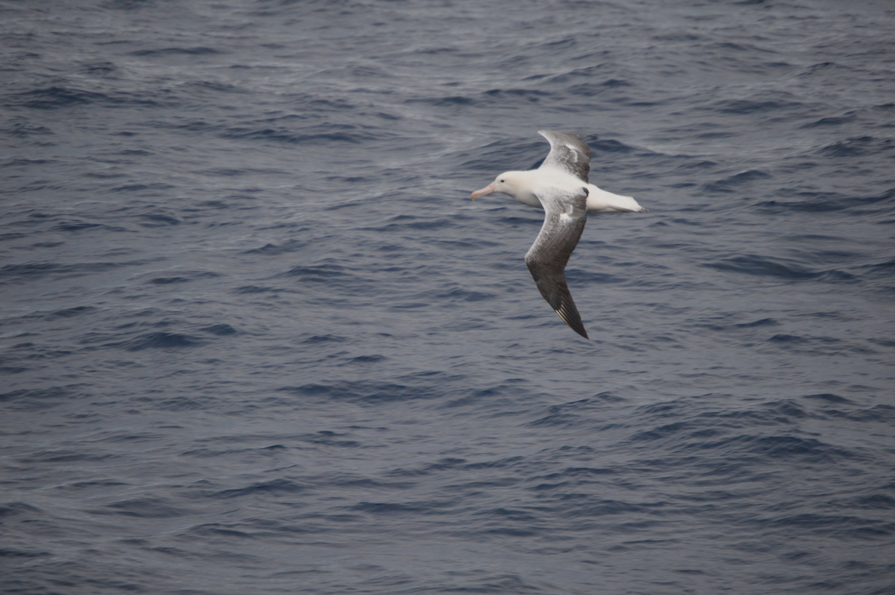 Credit: NASA/Christine Dow