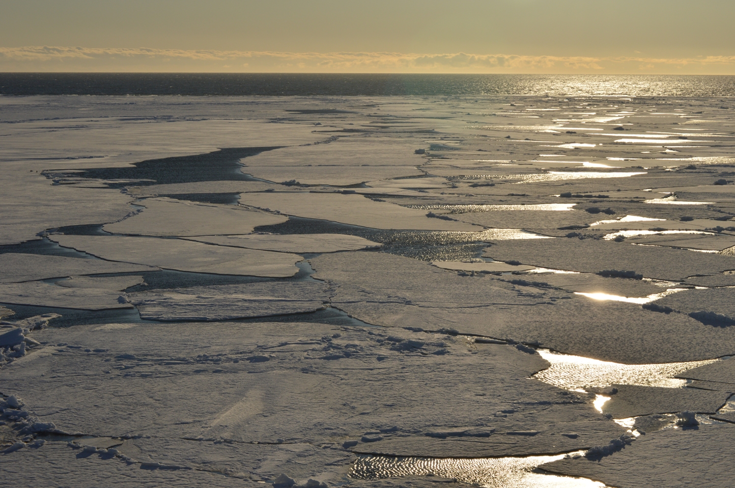 Credit: NASA/Christine Dow
