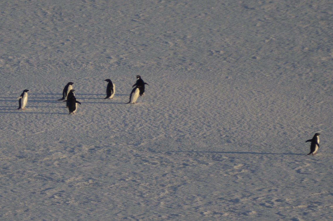 Credit: NASA/Christine Dow