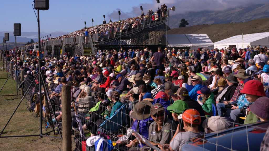 A crowd during New Zealand air show.