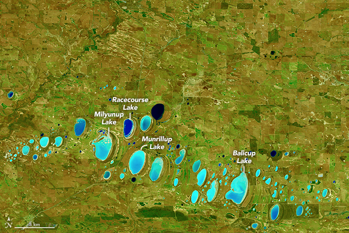 australia_oli_2015294_web