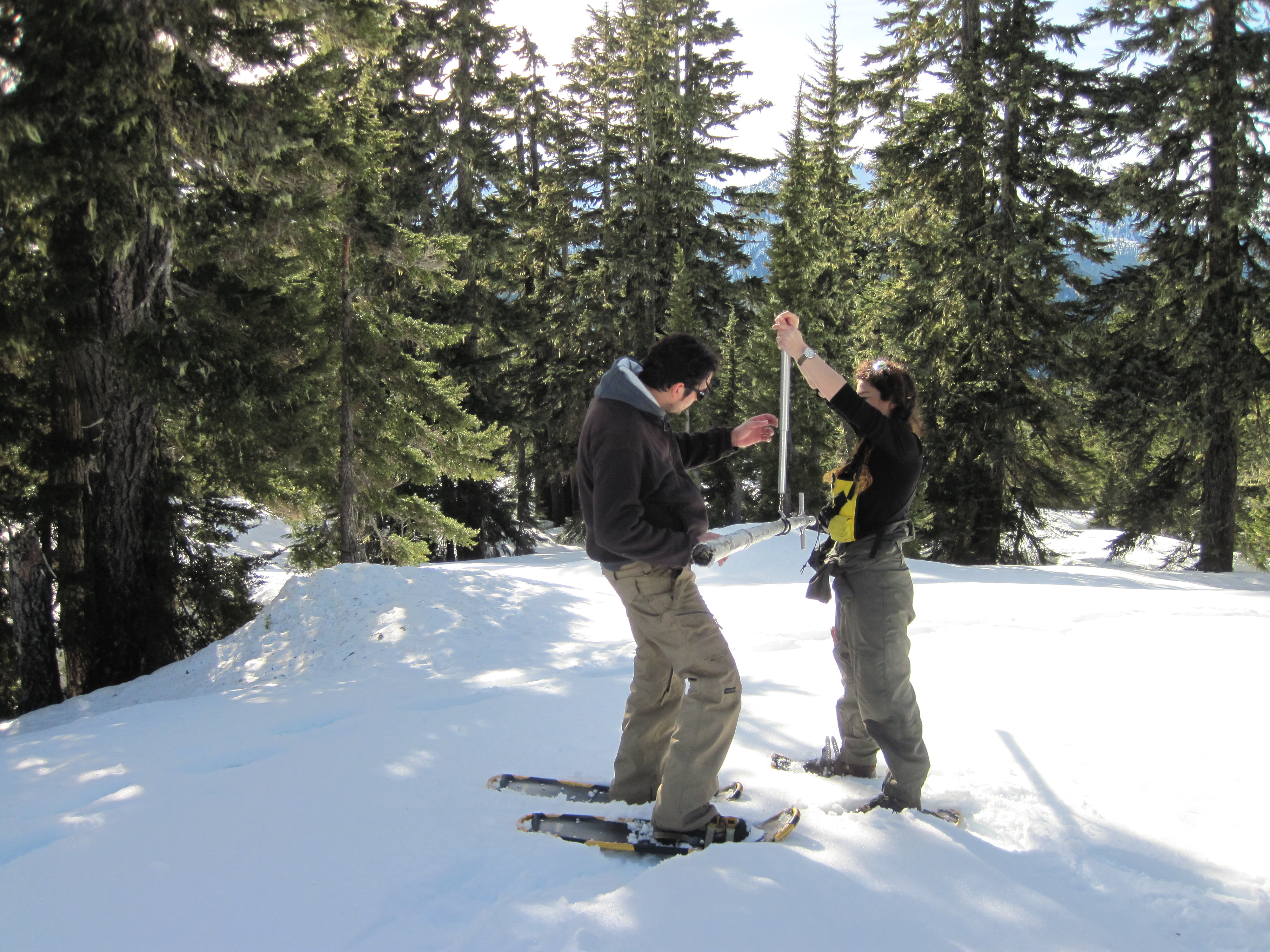 Making snow density measurements in the Olympic National Park. Photo by Bill Baccus.