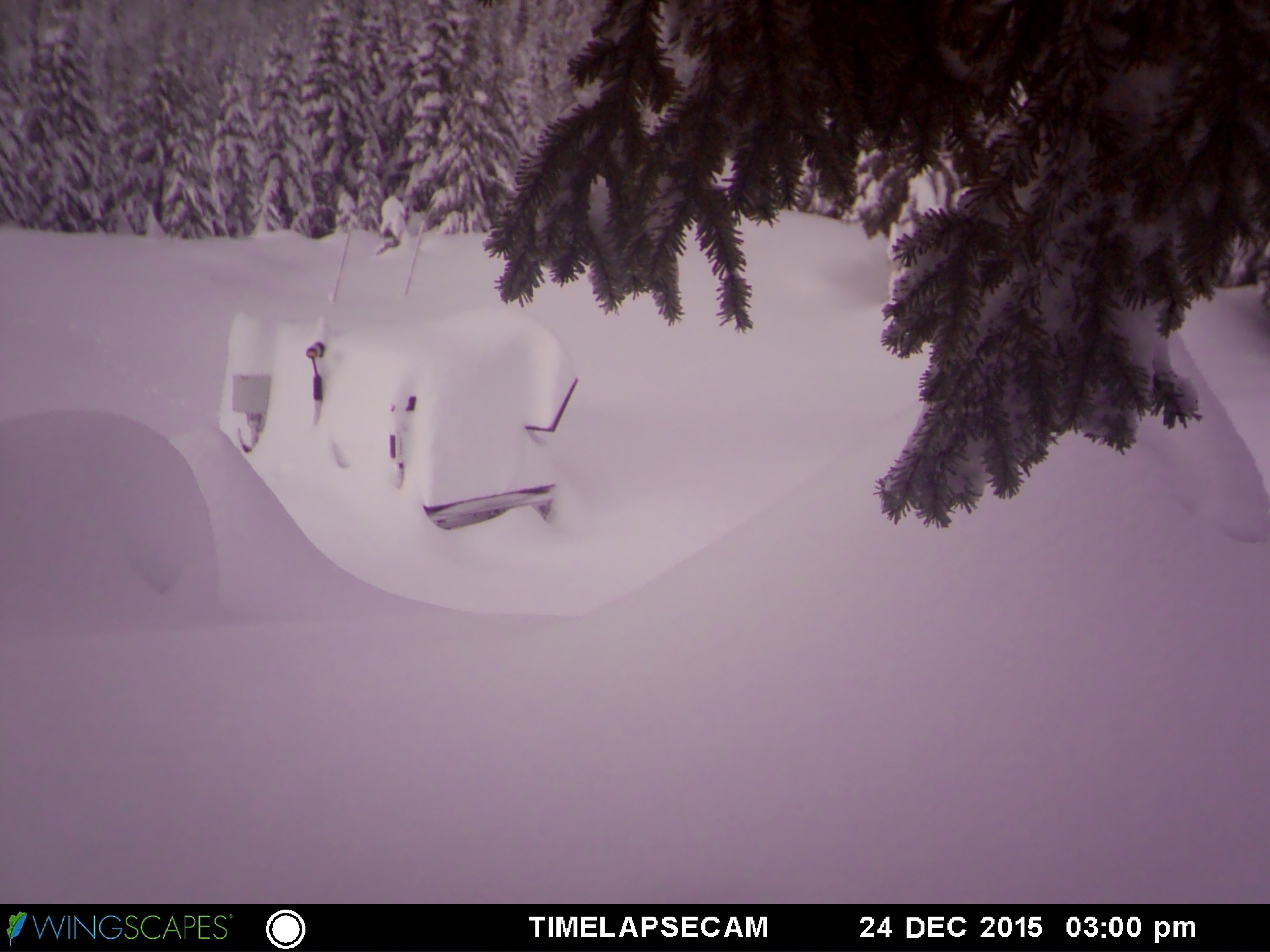 Photo taken December 24, 2015 by the remote camera monitoring the snow accumulation at the trailer. This snow came from the same series of storms that buried the PIP at Hurricane Ridge shown above.