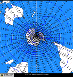 The winter stratospheric cyclone