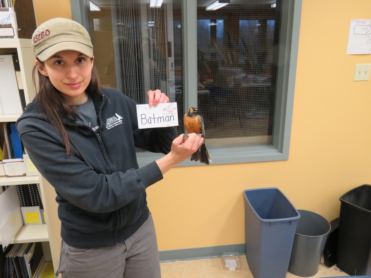 Batman is an an adult male. His name was chosen by Mrs. Heilbronn’s 5th grade class. (Photo credit: Brian Weeks.)