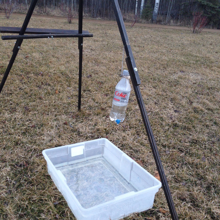 Bird bath with drip to attract migrating robins who are typically thirsty and looking for a place to bathe.