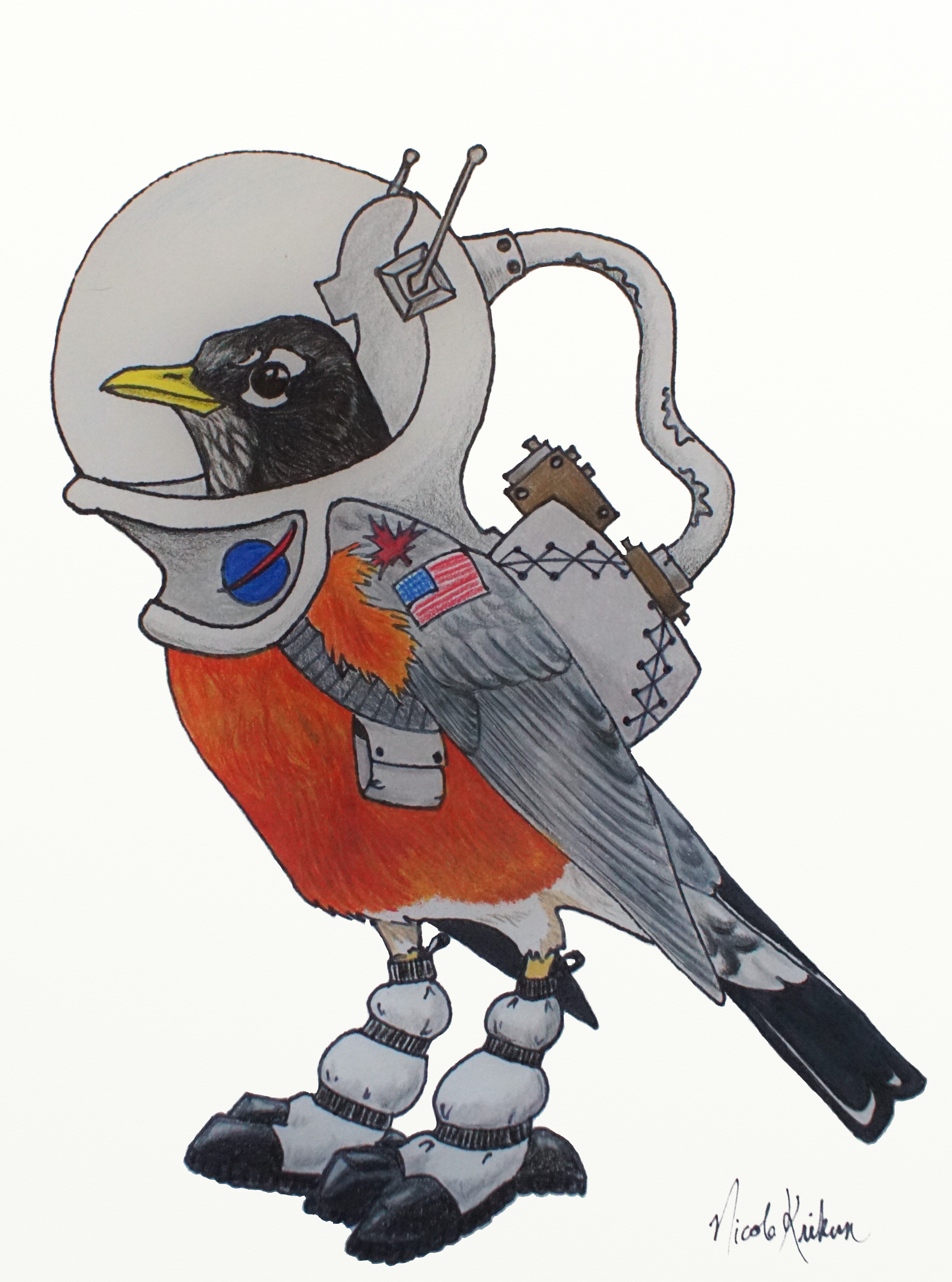 A space robin mascot for our Migration Mystery. Drawing by Nicole Krikun.