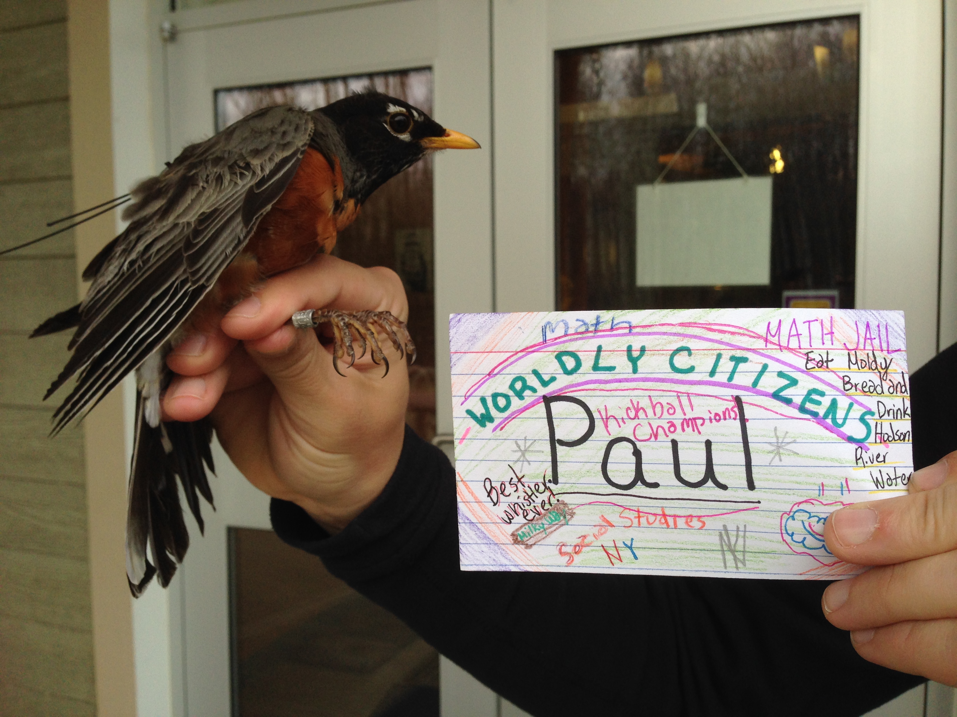 Paul is an adult male. His name was chosen by Mrs. Arietta’s 5th grade class. (Photo credit: Natalie Boelman)