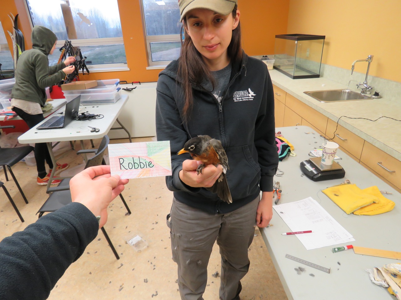 Robbie is an adult male. His name was chosen by Mr. McAuliffe’s and Mrs. Cavanaugh’s 5th grade class. (Photo credit: Brian Weeks.)