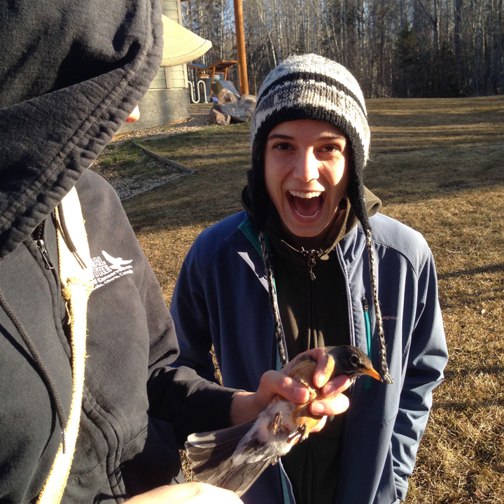 Ruthie showing her excitement over catching our first space robin, who we named Trail Blazer. Photo credit: Natalie Boelman.