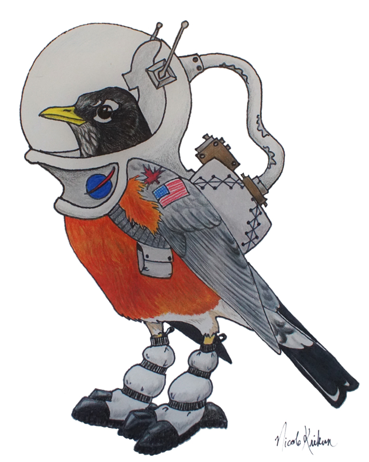 Space robin by Nicole Krikun. 