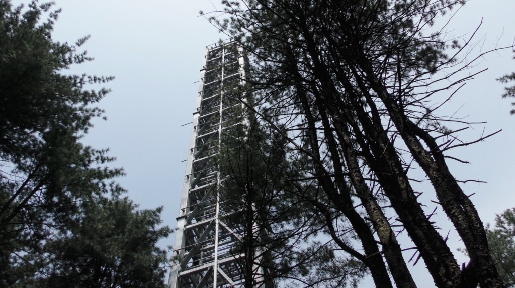 Forest tower