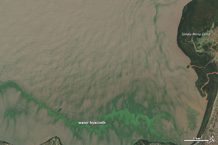 lkvictoria_ali_2014137