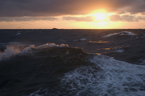 The ocean. This is what we see and sample every day.