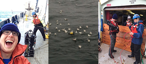 Researchers recovering the Conductivity-Temperature-Depth Bottle rosette that contains water samples from as deep as 1500 meters. Photo: Stuart Halewood. 