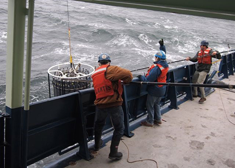 The IOP Package, the HyperPro + angry birds, and the C-OPS. Photo: James Allen and Nicole Estephan