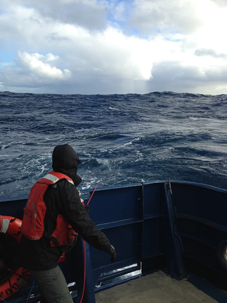 Yes, we hand-deploy a few of our instruments, even in rough weather. Photo: Nicole Estephan