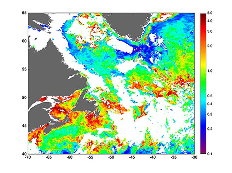 10 day satellite composite from May1-10th of MODIS aqua Chl in the North Atlantic (units are mg m-3). Land is depicted in grey, clouds or ice in white. Figure provided by Toby Westberry.