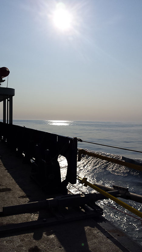 Calm seas and blue skies as we continue our transit to the NAAMES stations in the North Atlantic. Photo: Kristina Mojica