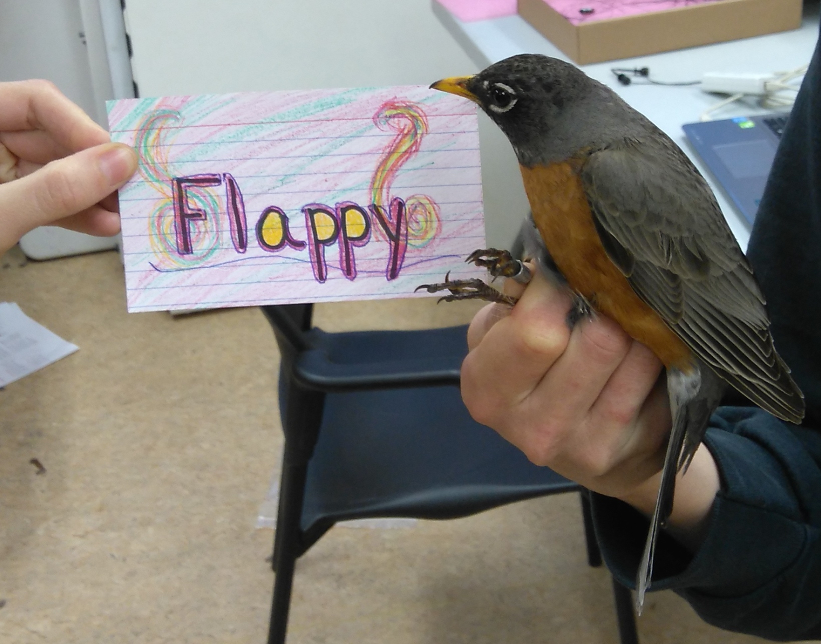 Flappy is an adult female. Her name was chosen by Ms. Murphy and Mrs. Nadler’s 4th grade class. (Photo credit: Nicole Krikun)