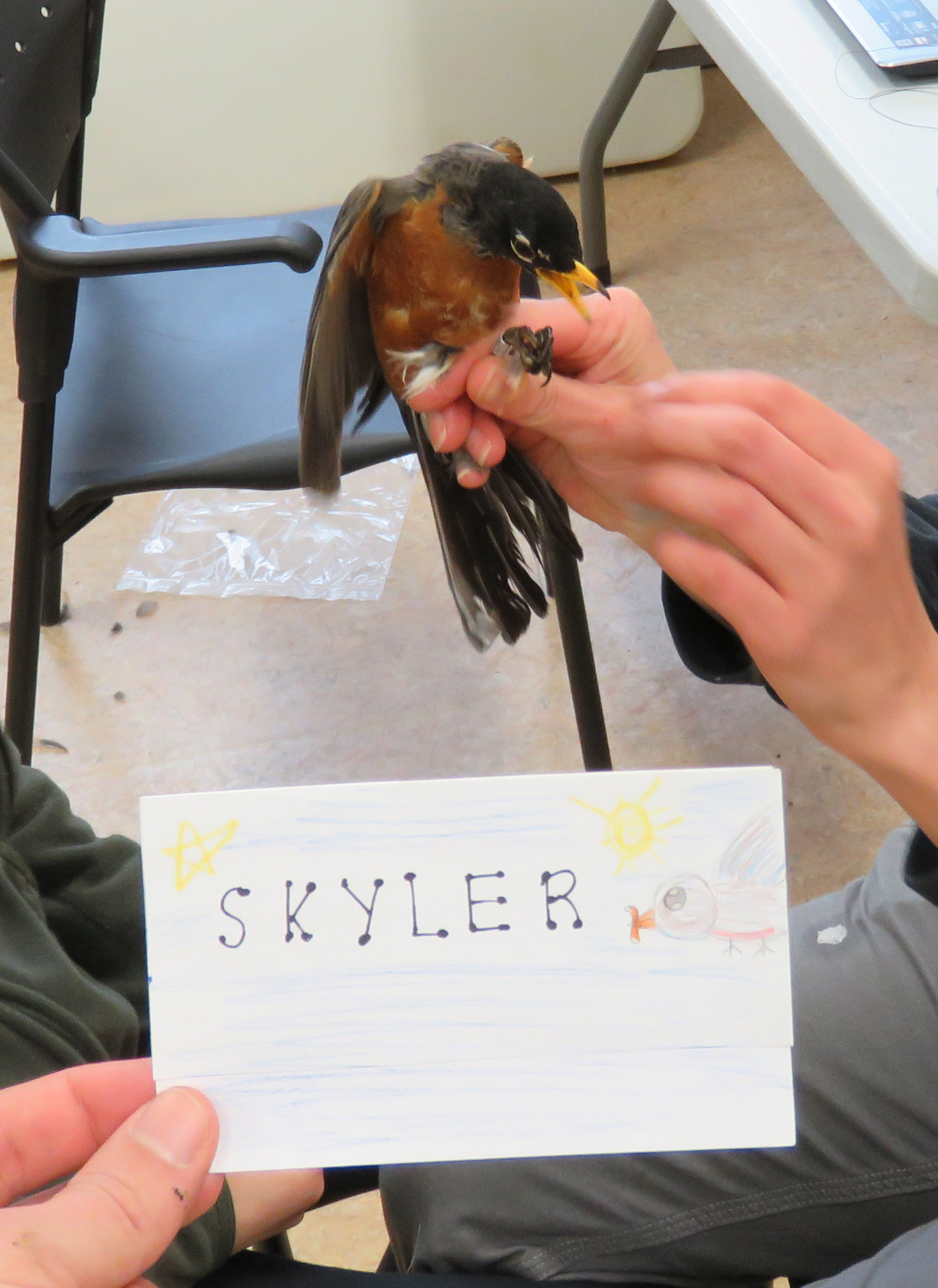 Skyler is an adult male. His name was chosen by Mr. Lane’s 5th grade class. (photo credit: Ruthie Oliver)