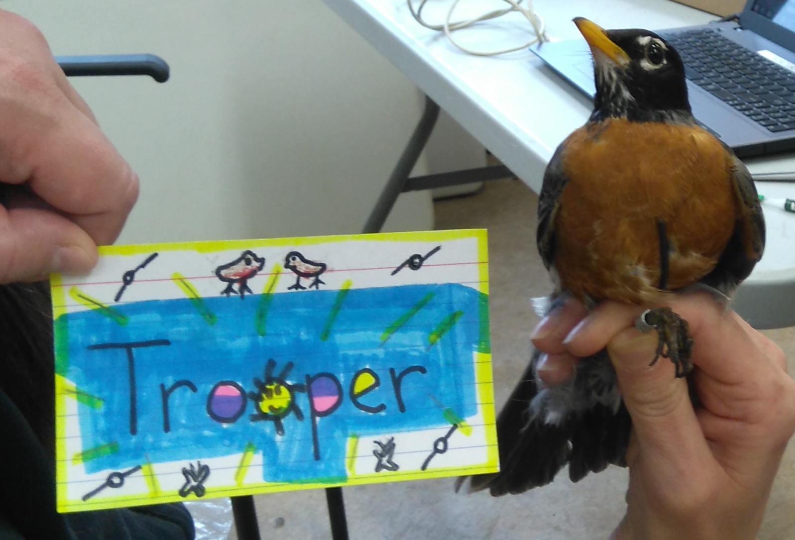 Trooper is an adult male. His name was chosen by Mrs. Caunitz and Mrs. Barsanti’s 4th grade class. (Photo credit: Nicole Krikun)