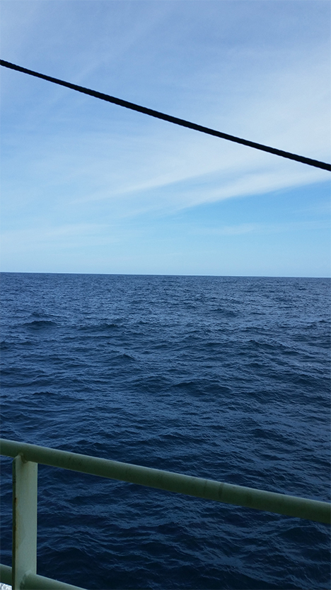 Ocean view. Sadly, dolphin and whale free. 