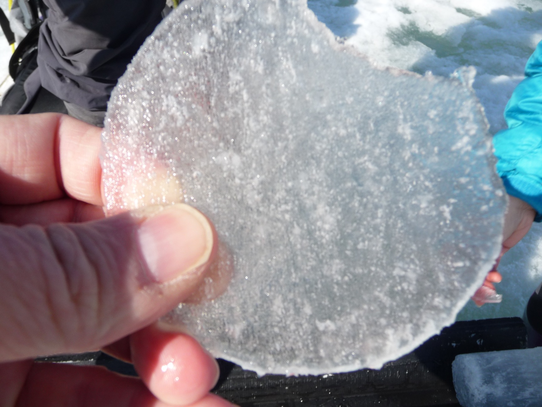 A section of the sea ice core.