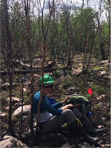 Catherine Dieleman, preparing to dig a soil core.