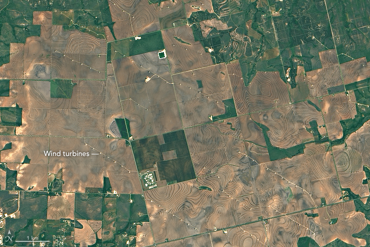 texas_oli_2015119_zoom