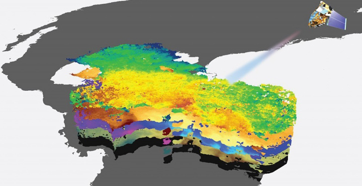 Image credit: Caribbean Oceans Team